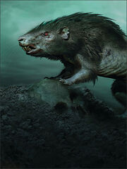 Creatures-morgul-rat-b6954080cc