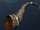 Rusted Horn