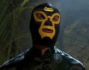 Sensei Ping wearing El Sapo Dorado's mask