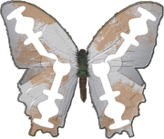 Razorblade butterfly.png