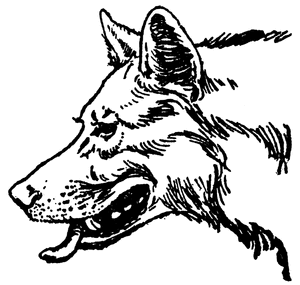 Mowgli3 20930 lg.gif