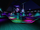 Disco Rink