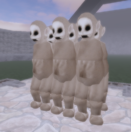NewBorns