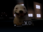Another mugshot of Maddy.
