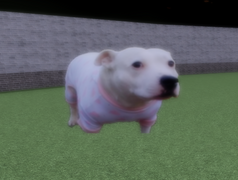 DOG WITH A PINK SHIRT ON