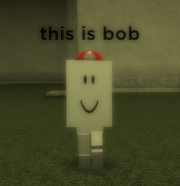 BOB