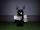 I met them in Midnight Horrors