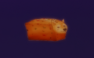 Another image of Doge fruitcake.