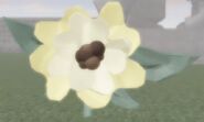 The "Blossoms" FlowQura summons.