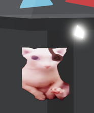 BINGUS