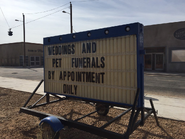 BTS weddings and pet funerals