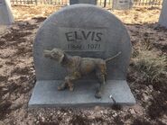 BTS Rev's Pet Cemetery