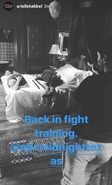 BTS Arielle Kebbel back in fight training