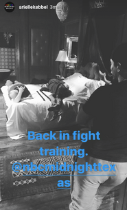 BTS Arielle Kebbel back in fight training