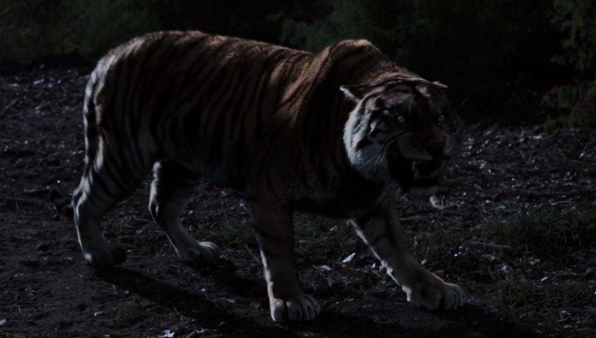 Bengal Tiger (2015) - IMDb