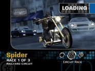 Spider - Hotmatch D'Elegance