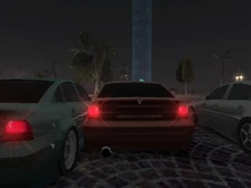 Emus racing in Freeway Rally.