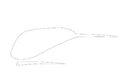 1967-1981