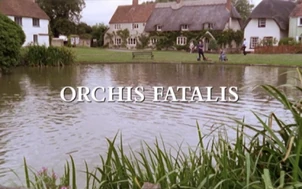 Orchis Fatalis Midsomer Murders Again Wiki Fandom orchis-fatalis-midsomer-murders-again-wiki-fandom