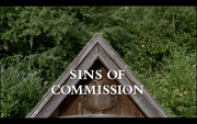 Sins-of-commission