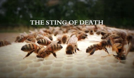 The-sting-of-death