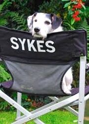 Sykes