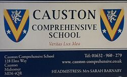 Causton-comprehensive.jpg