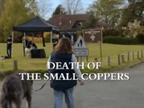 Death of the Small Coppers