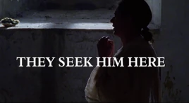 They-seek-him-here