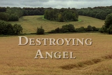 Christine Miller | Midsomer Murders Wiki | Fandom