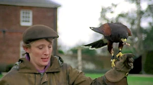 Birds of Prey