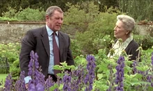 Tom and Naomi talking in front of a bed of aconite