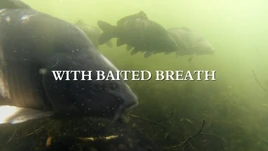 With-baited-breath