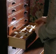 Darwin's bird egg collection