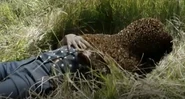 Body encased in bee swarm