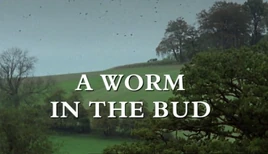 A-worm-in-the-bud