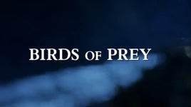 Birds-of-prey