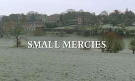 Small-mercies