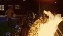 Eileen Hamilton and the bonfire