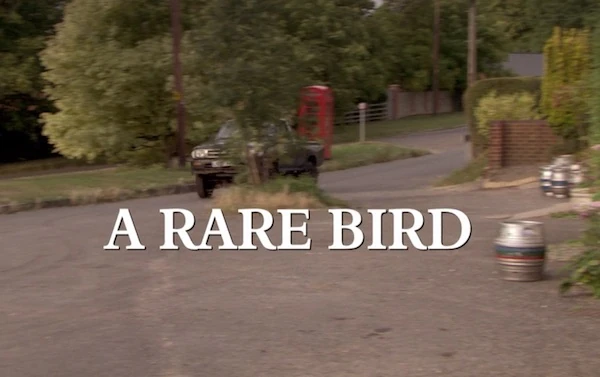 A Rare Bird Midsomer: Discover Hidden Avian Treasures