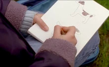 Julie's drawings of dogs