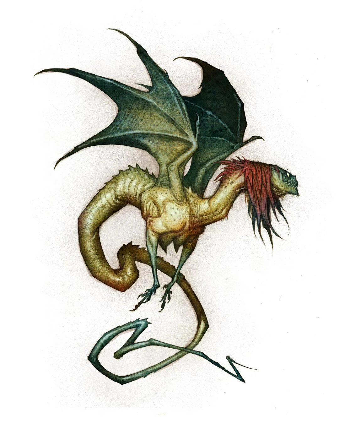Сируелло кабрал. Дракон. Мифические драконы. Дракон_бескрылый дракон. Мифические драконы.