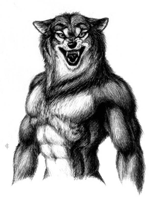 Волк силен и. Волк рисунок. Волк оборотень. Оборотень рисунок.