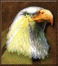 Heroes III EagleEyeAdvanced.png (22 KB) Advanced Eagle Eye icon
