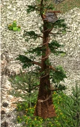 Redwood Tree in Heroes IV