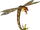 Dragon fly