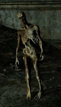 Zombie (DM) | Might and Magic Wiki | Fandom
