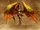 Furia (H7) concept art.png