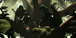 Shadows of the Forest