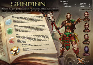 Shaman class info
